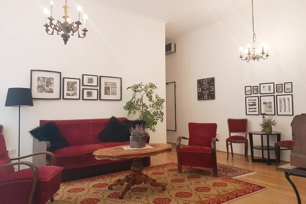 Your Gorgeous And Spacious Dream Free Parking דירה
